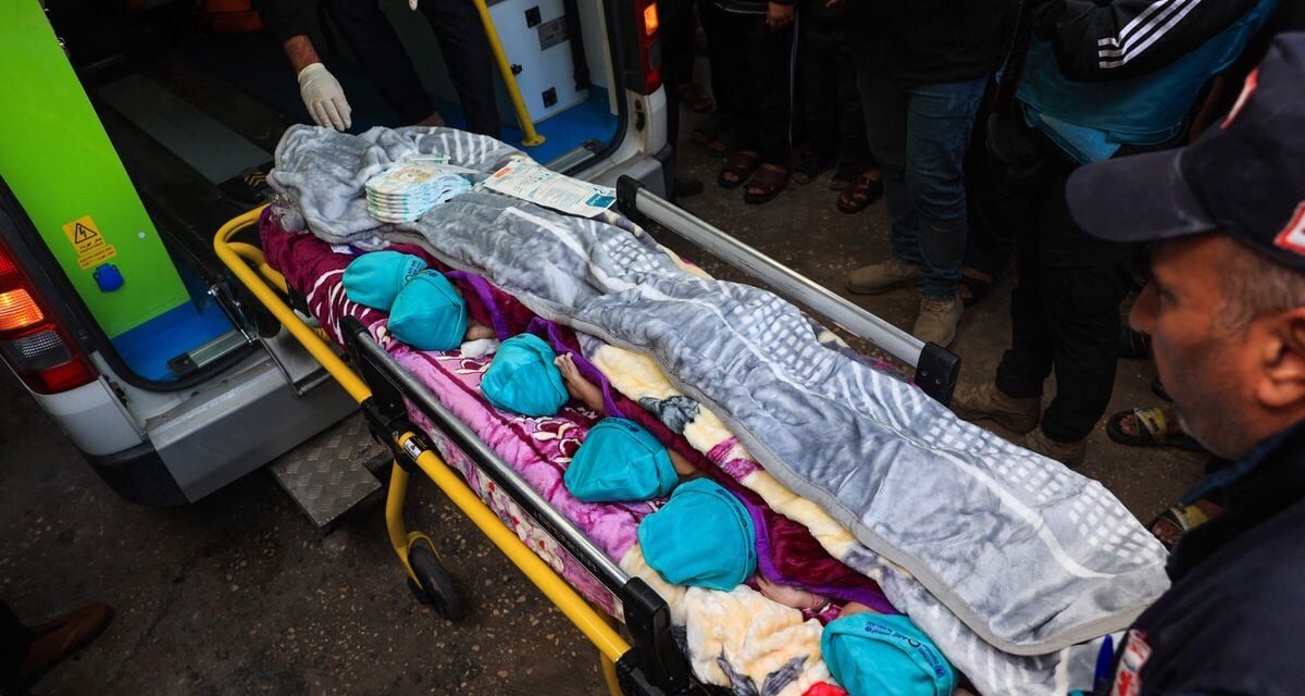 Guerra entre Israel y Gaza, en directo |  El ejército israelí ataca el hospital Indonesio de Gaza con tanques y causa al menos 12 muertos, según Hamás |  internacional