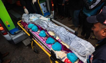 Guerra entre Israel y Gaza, en directo |  El ejército israelí ataca el hospital Indonesio de Gaza con tanques y causa al menos 12 muertos, según Hamás |  internacional