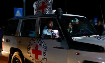 Guerra entre Israel y Gaza, en directo |  El ejército israelí confirma la liberación de otros catorce rehenes, que están siendo trasladados por la Cruz Roja |  internacional