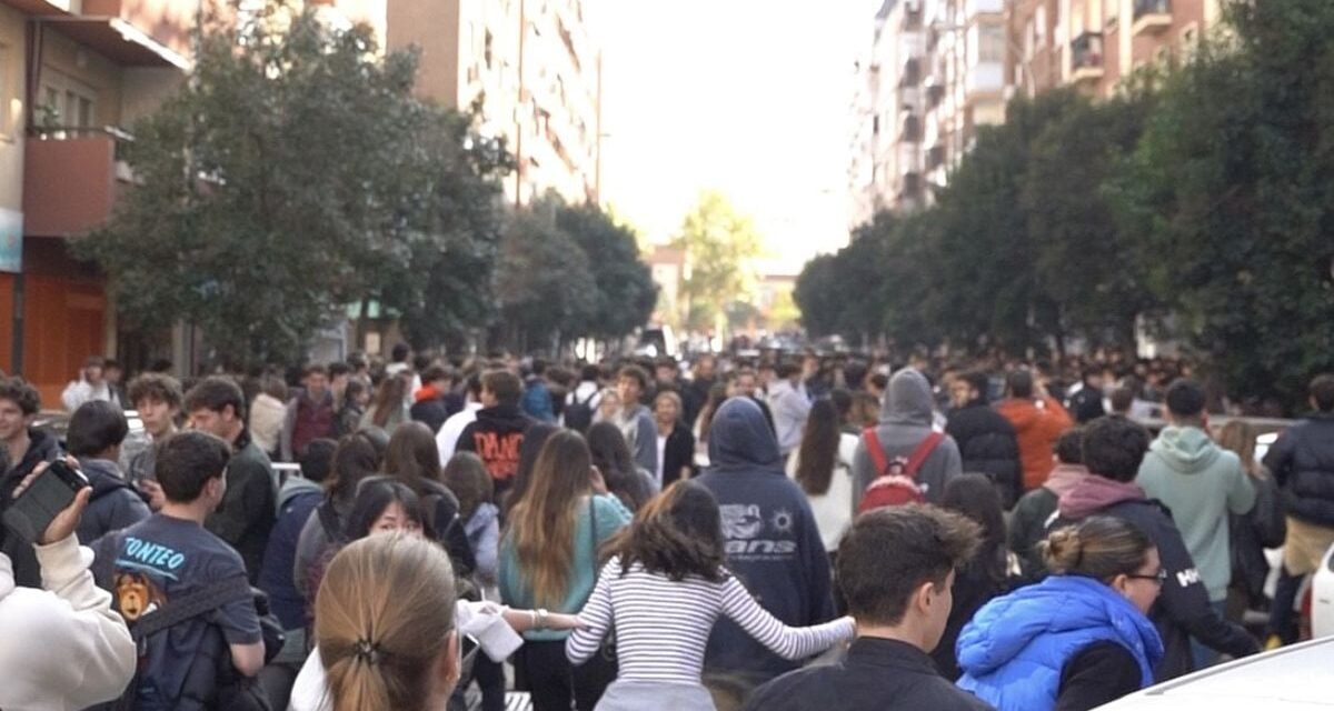 5.000 jóvenes y sudaderas en descuento: así se cocina el éxito de una tienda fugaz en vísperas del Black Friday |  Madrid |  España