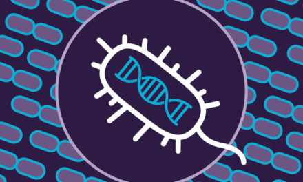 Algoritmo de búsqueda revela casi 200 nuevos tipos de sistemas CRISPR |  Noticias del MIT