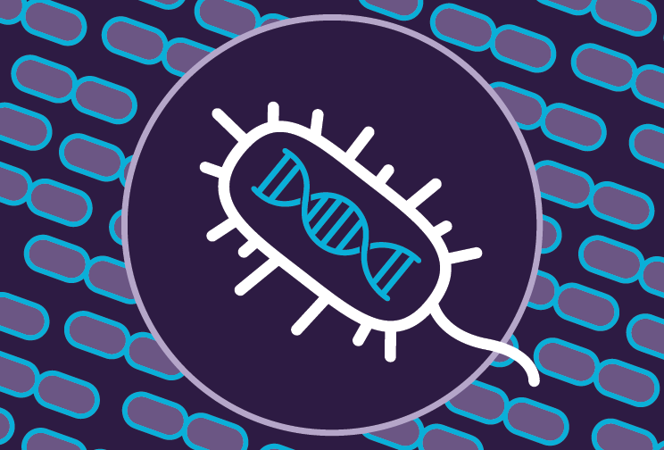 Algoritmo de búsqueda revela casi 200 nuevos tipos de sistemas CRISPR |  Noticias del MIT