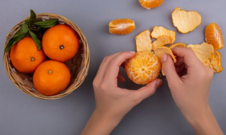 Alimentos color naranja: estos son todos los beneficios para la salud que proporcionan las frutas y verduras de ese tono |  Salud |  La Revista