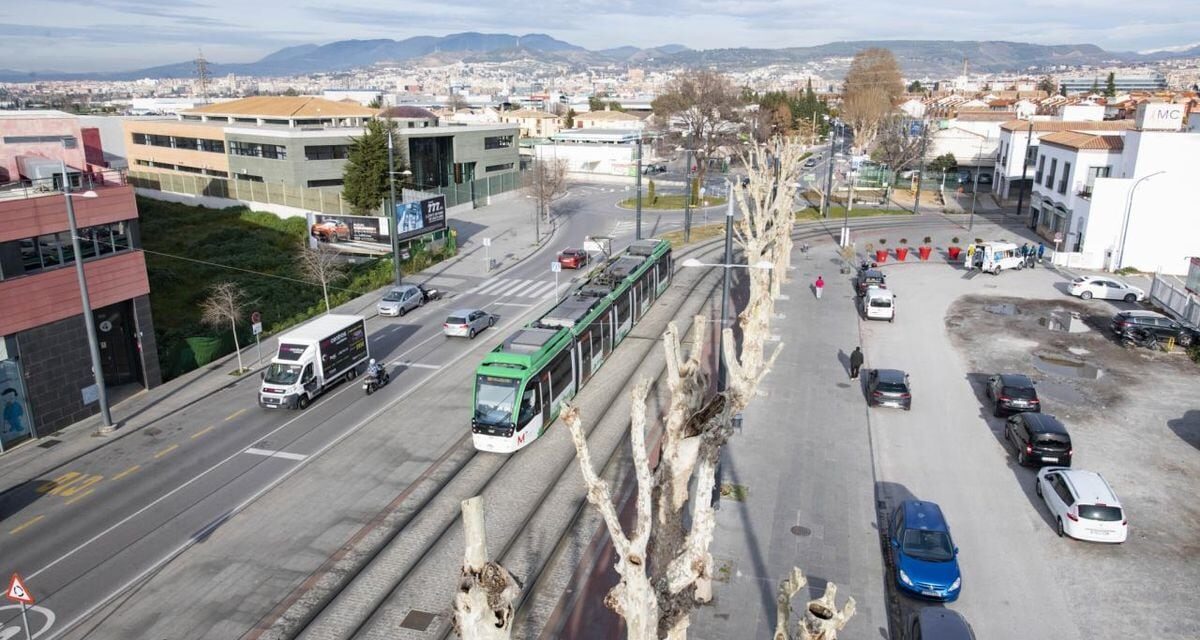 Armilla: La policía detiene a un hombre que apuñaló a su expareja en Granada delante de sus dos hijos menores |  sociedad