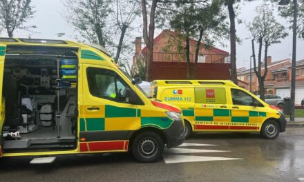 Asesinada una mujer de 39 años en plena calle en Getafe |  sociedad