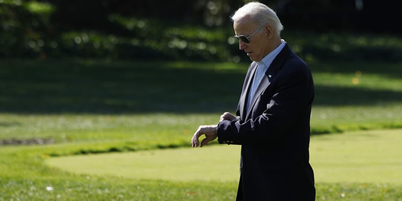 Biden hace campaña en el patio trasero de Dean Phillips, pero no dice su nombre