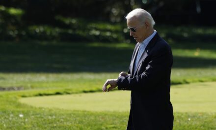 Biden hace campaña en el patio trasero de Dean Phillips, pero no dice su nombre