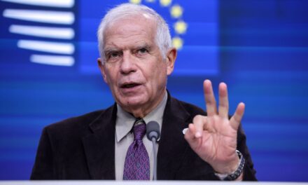 Borrell advierte que el paso de Rafah no es suficiente para enviar ayuda humanitaria a Gaza |  internacional
