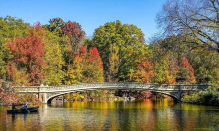 Bow Bridge cerrado hasta enero por reparaciones