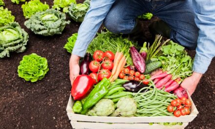 “Cambio climático es crítico para la producción de alimentos en República Dominicana”