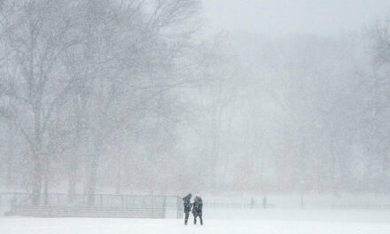 Central Park pasa 653 días sin una pulgada de nieve
