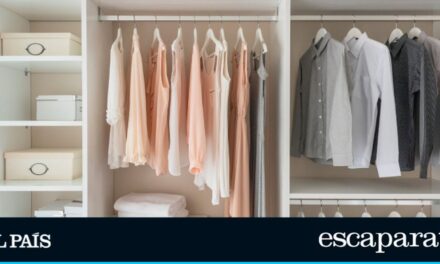 Cómo eliminar la humedad de los armarios con estos ocho productos básicos |  Escaparate: compras y ofertas