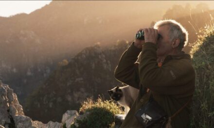 EL CINE ASTURIANO ATRAVIESA EL 61 FICX