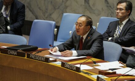 El Consejo de Seguridad pide corredores humanitarios amplios y urgentes para suministrar ayuda a Gaza |  internacional