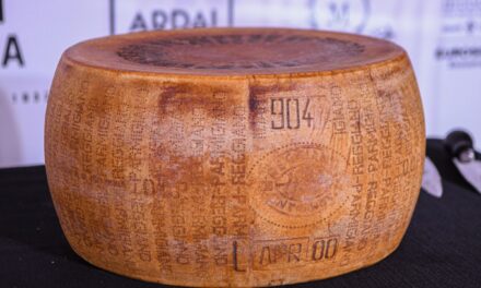 El Parmigiano Reggiano más longevo del mundo, madurado 23 años, sabe a sotobosque y trufa |  Gastronomía: recetas, restaurantes y bebidas.