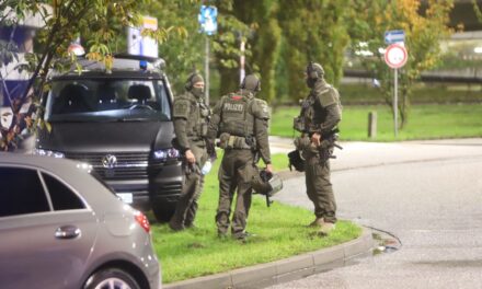 El aeropuerto de Hamburgo, cerrado desde el sábado a causa de un hombre armado que tiene como rehén a su hija de cuatro años |  internacional