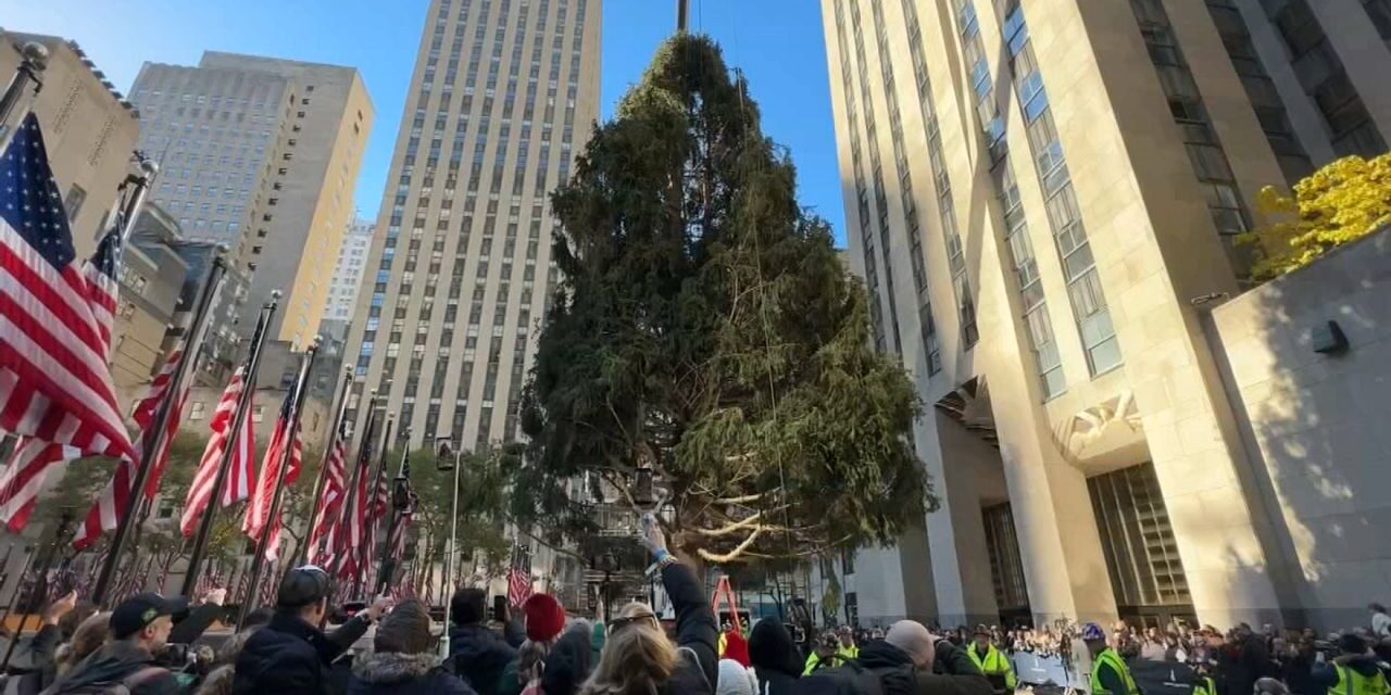 El árbol de Navidad de Rockefeller llega a la ciudad