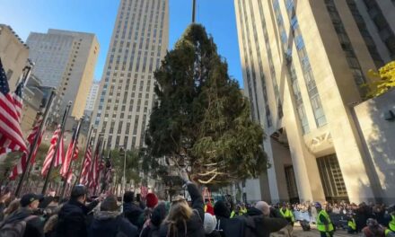 El árbol de Navidad de Rockefeller llega a la ciudad