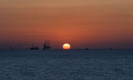 El cártel petrolero recorta una vez más los bombeos para frenar en seco la caída de precios |  Economía