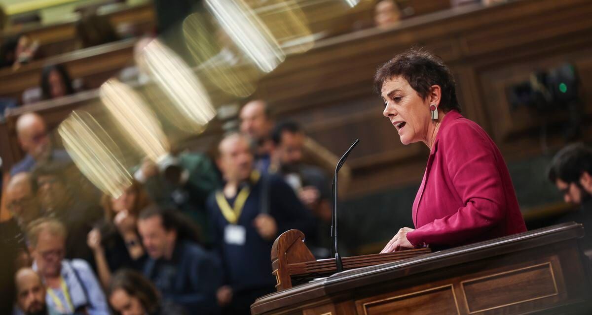 El debate de investidura de Sánchez, en directo |  Bildu: “Que nadie olvide que somos los independentistas y soberanistas quienes impedimos hoy que el bloque reaccionario llegue al poder” |  España