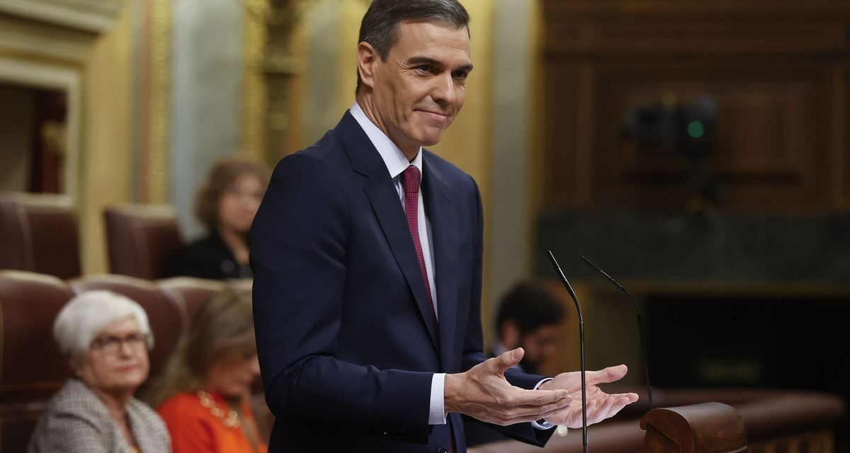 Estas son las 14 medidas económicas más destacadas de Pedro Sánchez para su próxima legislatura |  Economía nacional e internacional
