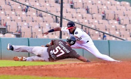 Gigantes y Estrellas triunfan en el beisbol profesional R. Dominicana |  AlMomento.net
