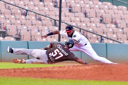 Gigantes y Estrellas triunfan en el beisbol profesional R. Dominicana |  AlMomento.net