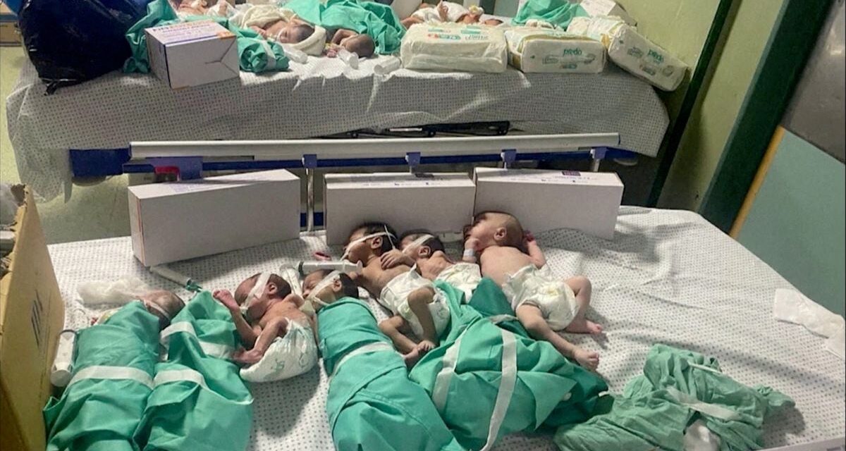 Guerra entre Israel y Gaza, en directo |  El asalto israelí provoca el colapso de los dos principales hospitales de Gaza |  internacional