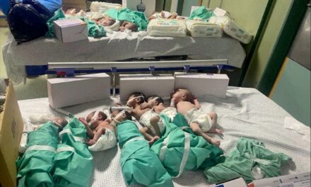 Guerra entre Israel y Gaza, en directo |  El asalto israelí provoca el colapso de los dos principales hospitales de Gaza |  internacional