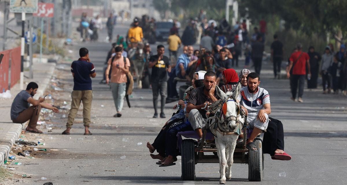 Guerra entre Israel y Gaza, en directo |  La ONU aprueba una resolución para pedir “pausas humanitarias” en Gaza |  internacional