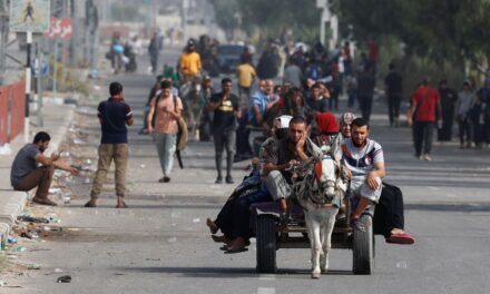 Guerra entre Israel y Gaza, en directo |  La ONU aprueba una resolución para pedir “pausas humanitarias” en Gaza |  internacional