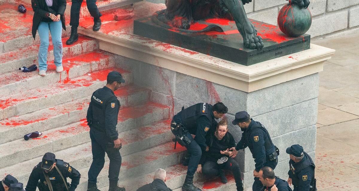 La Fiscalía pide 21 meses de cárcel para cada uno de los activistas climáticos que tiraron pintura biodegradable contra el Congreso |  Clima y Medio Ambiente