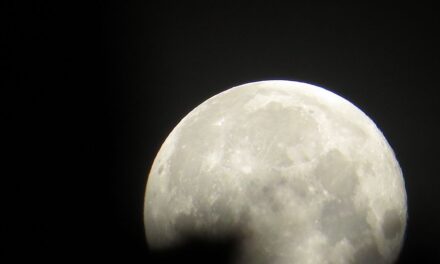 La 'Luna Llena de Beaver' da inicio a la nueva semana
