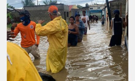 La cosecha de piña en la República Dominicana se retrasa tras la tormenta tropical