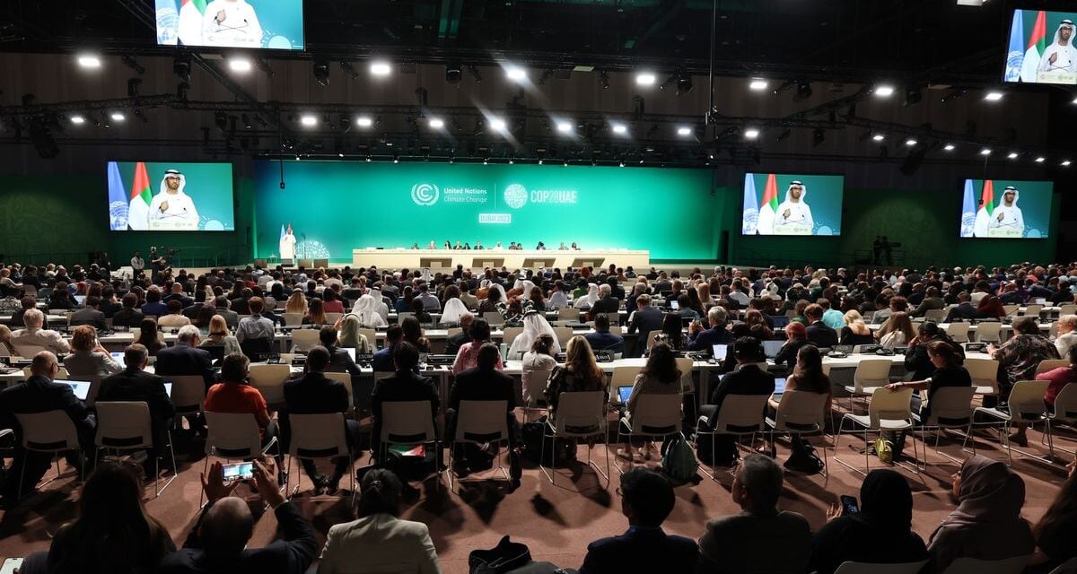 La cumbre del clima de Dubái se abre con la aprobación de un nuevo fondo para compensar a las naciones más vulnerables |  Clima y Medio Ambiente