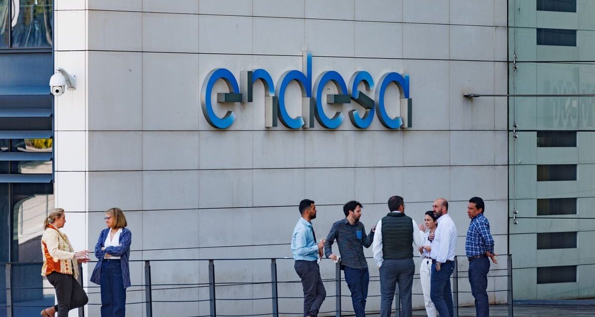 La dueña de Endesa anticipa una recuperación del consumo de electricidad en España |  Economía