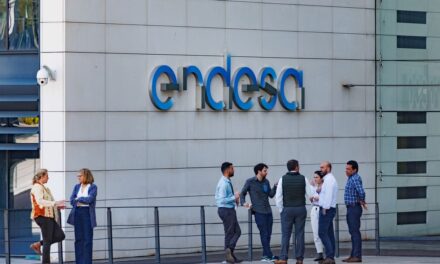 La dueña de Endesa anticipa una recuperación del consumo de electricidad en España |  Economía