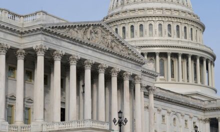 La hermana del gobernador de Michigan pone fin a su campaña para el Congreso de Nueva York