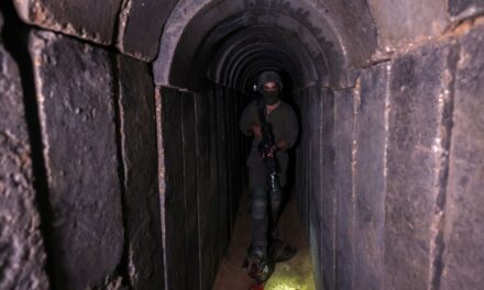 La prensa internacional accede junto al ejército israelí a un túnel subterráneo bajo el hospital de Al Shifa, en Gaza |  internacional