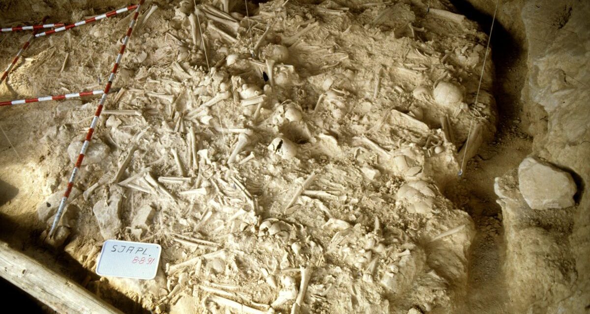 La primera gran guerra europea tuvo lugar en el norte de la Península hace más de 5.000 años |  Ciencia