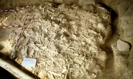 La primera gran guerra europea tuvo lugar en el norte de la Península hace más de 5.000 años |  Ciencia
