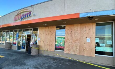 Ladrones descarados están estrellando vehículos contra tiendas