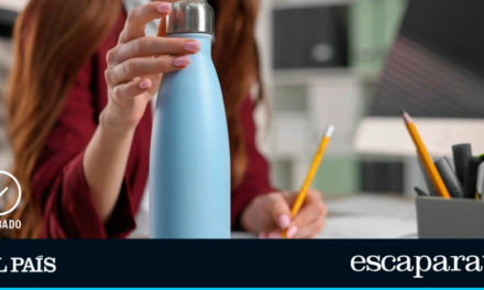 Las mejores botellas termo para mantener tus bebidas a la temperatura idónea |  Comparativas