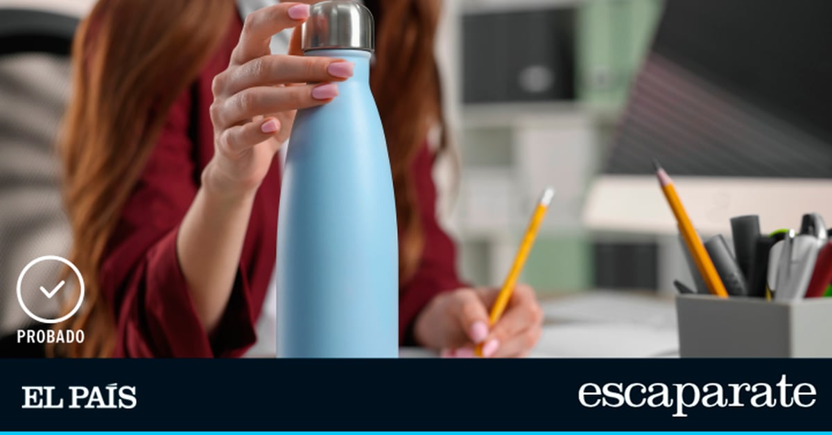 Las mejores botellas termo para mantener tus bebidas a la temperatura idónea |  Comparativas