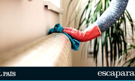 Limpia los radiadores sin esfuerzo con este cepillo flexible y de doble cara |  Escaparate: compras y ofertas