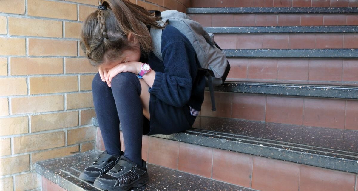 Los beneficios de que existe una red de apoyo formada por alumnos y profesores contra el acoso escolar |  Actualidad |  Mamás y papás