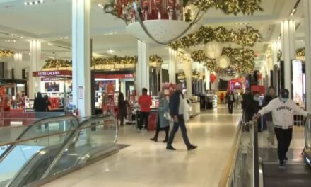 Los compradores del Black Friday acuden a Macy’s en Herald Square en busca de ofertas
