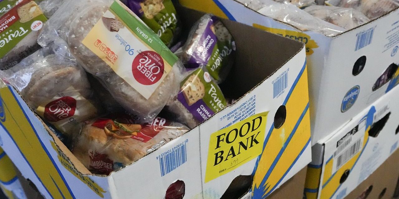 Los estados reciclan y donan alimentos que van a los vertederos