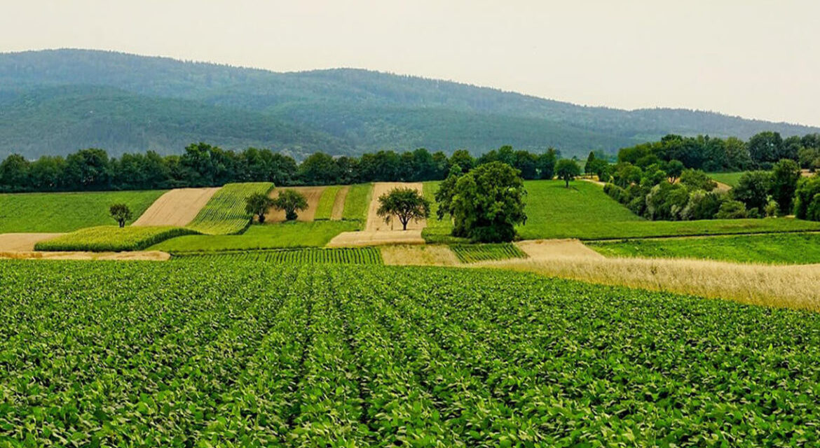 México y República Dominicana buscan fortalecer el sector agroalimentario