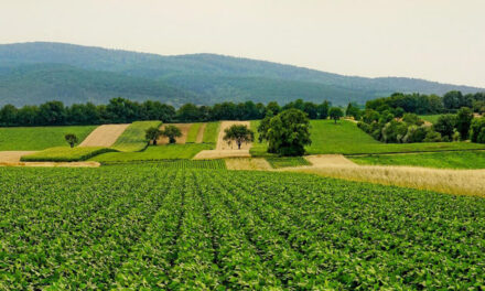 México y República Dominicana buscan fortalecer el sector agroalimentario